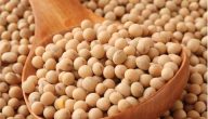 فوائد فول الصويا العلاجية و الغذائية