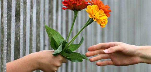 أجمل أبيات شعر عن الكرم