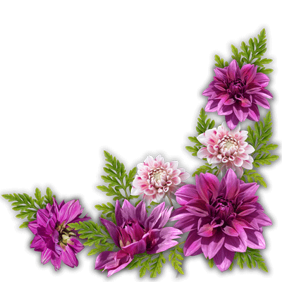 أزهار وورود سكرابز 4-4