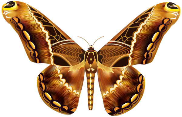 Beautiful_Brown_Butterfly_PNG_Clipart_Image.png