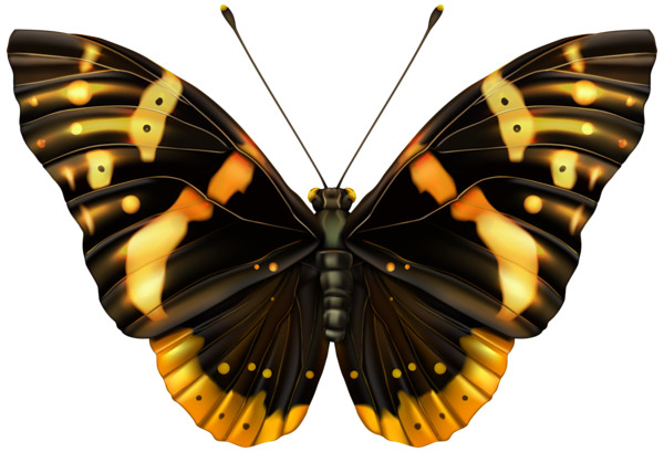 Black_and_Orange_Butterfly_Clipart_PNG_Image.png