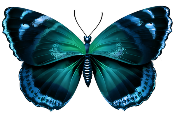 Blue_Butterfly_Transparent_PNG_Image.png