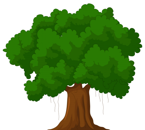 Cartoon_Green_Tree_PNG_Clipart-1091.png