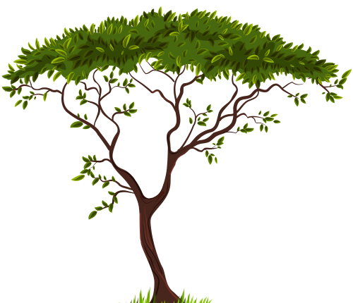 Exotic_Tree_PNG_Clip_Art-1094.png