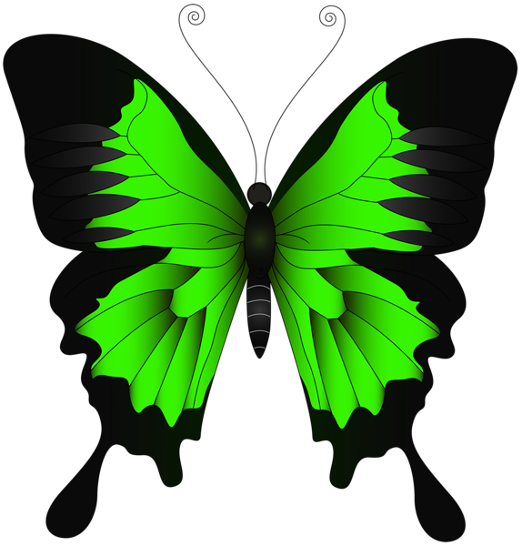 Green_Butterfly_PNG_Clip_Art_Image-642831885.png