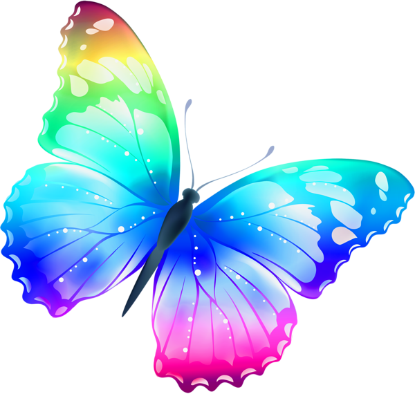 Large_Transparent_Multi_Color_Butterfly_PNG_Clipart.png