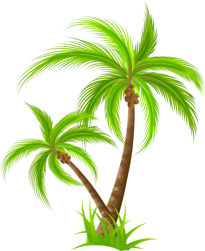 Palm_PNG_Clip_Art-2000.png