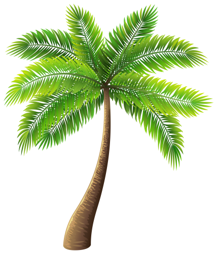 Palm_Tree_PNG_Clip_Art-1383.png