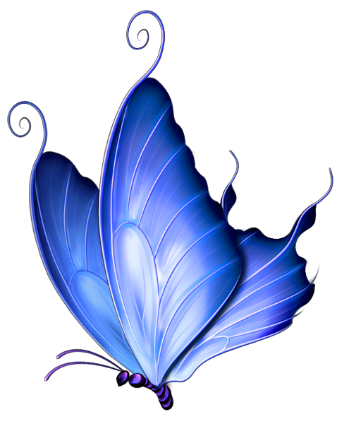 Transparent_Blue_Deco_Butterfly_PNG_Clipart.png