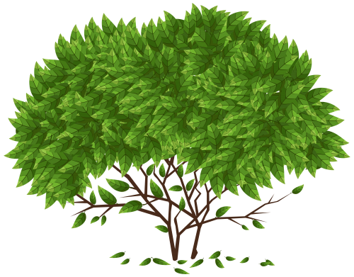 Tree_PNG_Clip_Art-1473.png