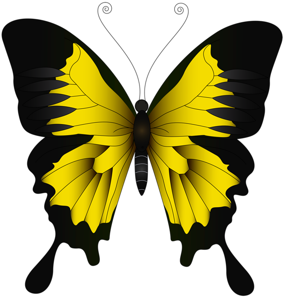 Yellow_Butterfly_PNG_Clip_Art_Image.png