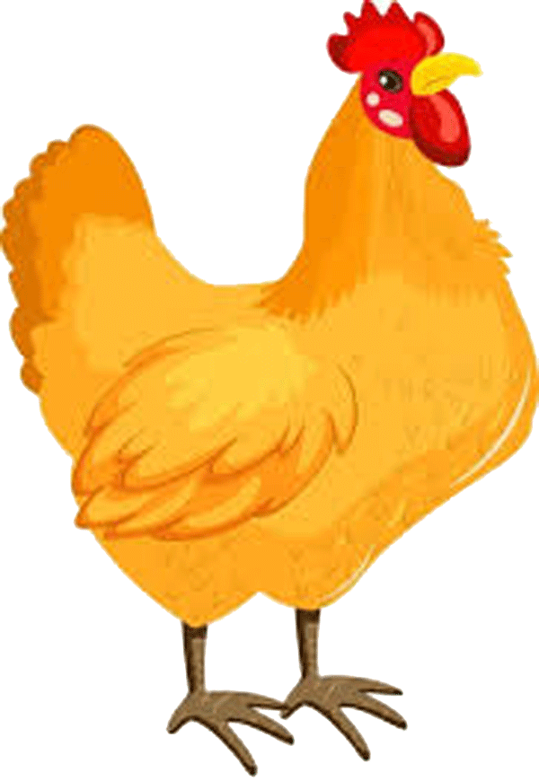 سكرابز دجاج كرتون - موقع بيت العز